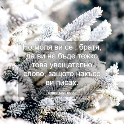 Picture 05 - Евреи 13:22 BULG - Но моля ви се , братя, да ви - Bible Verse Picture