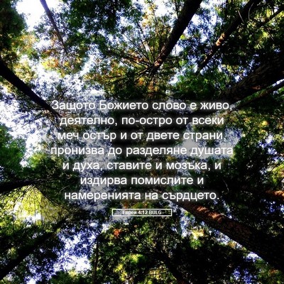 Picture 05 - Евреи 4:12 BULG - Защото Божието слово е - Bible Verse Picture