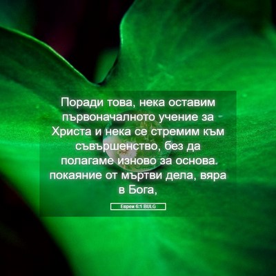 Picture 05 - Евреи 6:1 BULG - Поради това, нека оставим - Bible Verse Picture