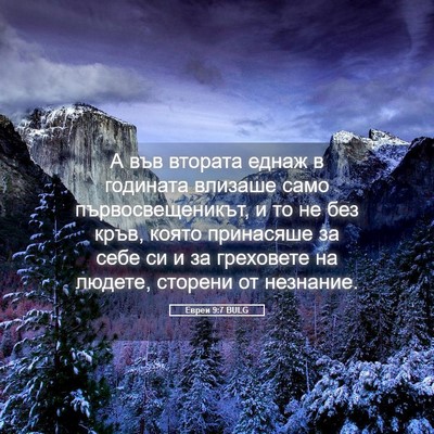 Picture 05 - Евреи 9:7 BULG - А във втората еднаж в - Bible Verse Picture