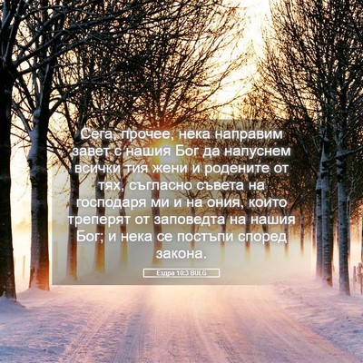 Picture 05 - Ездра 10:3 BULG - Сега, прочее, нека направим - Bible Verse Picture