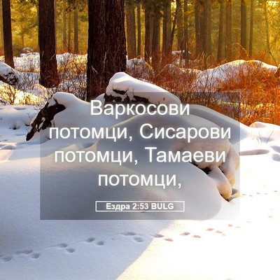 Picture 05 - Ездра 2:53 BULG - Варкосови потомци, - Bible Verse Picture