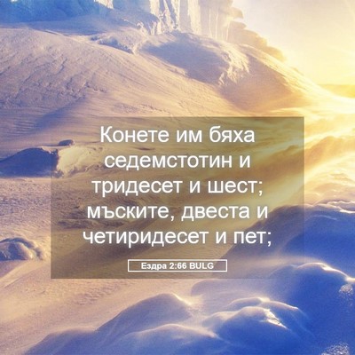 Picture 05 - Ездра 2:66 BULG - Конете им бяха седемстотин - Bible Verse Picture