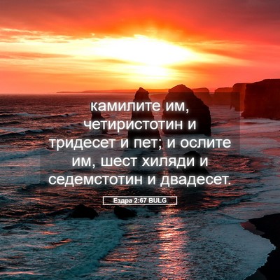 Picture 05 - Ездра 2:67 BULG - камилите им, четиристотин - Bible Verse Picture