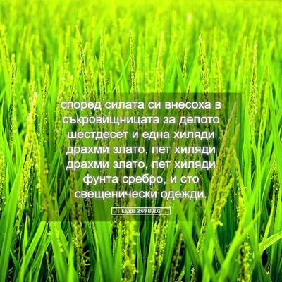 Picture 05 - Ездра 2:69 BULG - според силата си внесоха в - Bible Verse Picture