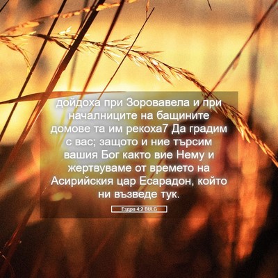 Picture 05 - Ездра 4:2 BULG - дойдоха при Зоровавела и - Bible Verse Picture