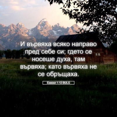 Picture 05 - Езекил 1:12 BULG - И вървяха всяко направо - Bible Verse Picture