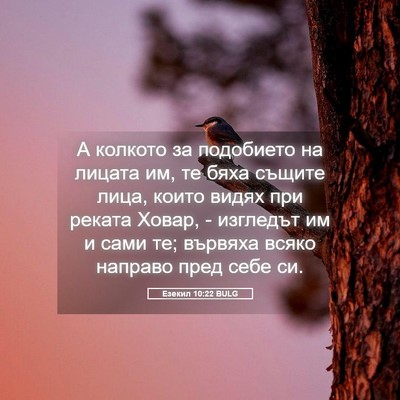 Picture 05 - Езекил 10:22 BULG - А колкото за подобието на - Bible Verse Picture