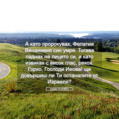 Picture 05 - Езекил 11:13 BULG - А като пророкувах, Фелатия - Bible Verse Picture