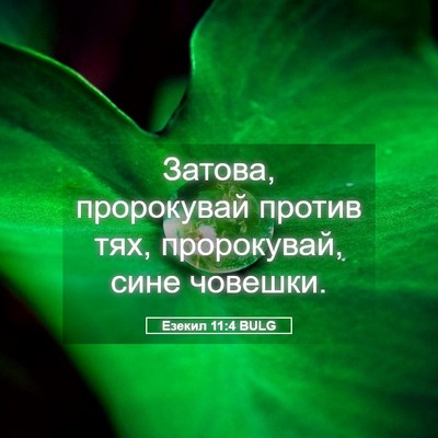 Picture 05 - Езекил 11:4 BULG - Затова, пророкувай против - Bible Verse Picture