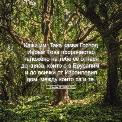 Picture 05 - Езекил 12:10 BULG - Кажи им: Така казва Господ - Bible Verse Picture