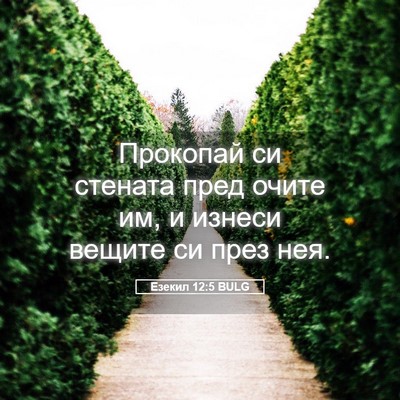 Picture 05 - Езекил 12:5 BULG - Прокопай си стената пред - Bible Verse Picture