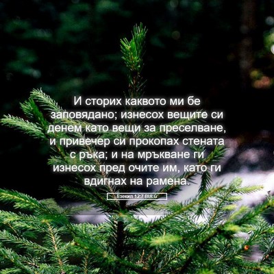 Picture 05 - Езекил 12:7 BULG - И сторих каквото ми бе - Bible Verse Picture
