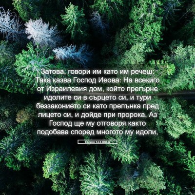 Picture 05 - Езекил 14:4 BULG - Затова, говори им като им - Bible Verse Picture