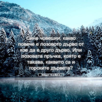 Picture 05 - Езекил 15:2 BULG - Сине човешки, какво повече - Bible Verse Picture