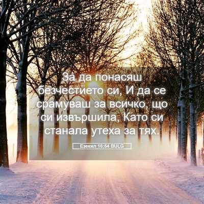 Picture 05 - Езекил 16:54 BULG - За да понасяш безчестието - Bible Verse Picture