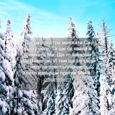 Picture 05 - Езекил 17:20 BULG - Ще разпростра мрежата Си - Bible Verse Picture