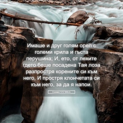 Picture 05 - Езекил 17:7 BULG - Имаше и друг голям орел с - Bible Verse Picture