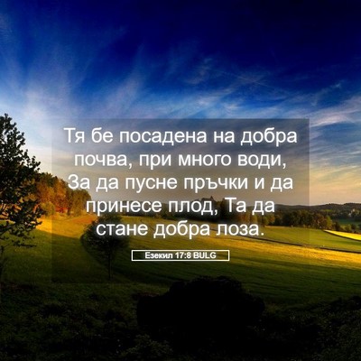 Picture 05 - Езекил 17:8 BULG - Тя бе посадена на добра - Bible Verse Picture