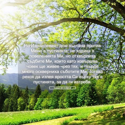 Picture 05 - Езекил 20:13 BULG - Но Израилевият дом въстана - Bible Verse Picture