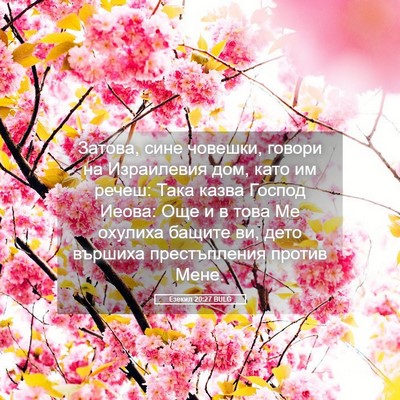 Picture 05 - Езекил 20:27 BULG - Затова, сине човешки, - Bible Verse Picture