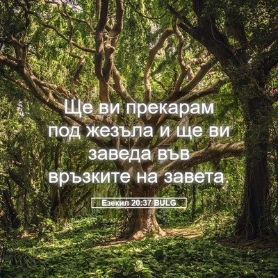 Picture 05 - Езекил 20:37 BULG - Ще ви прекарам под жезъла и - Bible Verse Picture