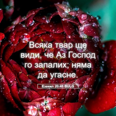 Picture 05 - Езекил 20:48 BULG - Всяка твар ще види, че Аз - Bible Verse Picture