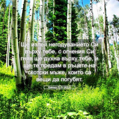 Picture 05 - Езекил 21:31 BULG - Ще излея негодуванието Си - Bible Verse Picture