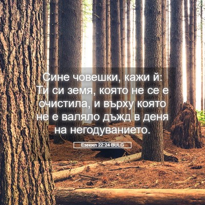 Picture 05 - Езекил 22:24 BULG - Сине човешки, кажи й: Ти си - Bible Verse Picture