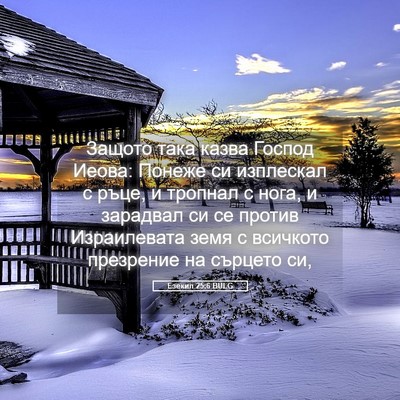 Picture 05 - Езекил 25:6 BULG - Защото така казва Господ - Bible Verse Picture