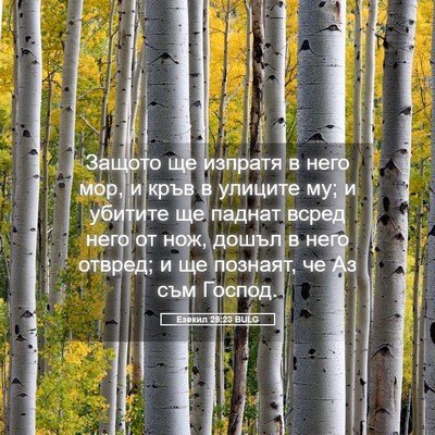 Picture 05 - Езекил 28:23 BULG - Защото ще изпратя в него - Bible Verse Picture