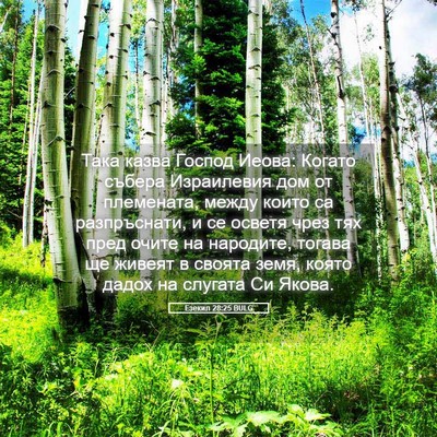 Picture 05 - Езекил 28:25 BULG - Така казва Господ Иеова: - Bible Verse Picture