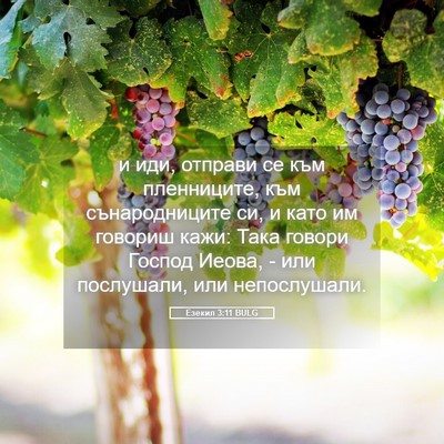 Picture 05 - Езекил 3:11 BULG - и иди, отправи се към - Bible Verse Picture