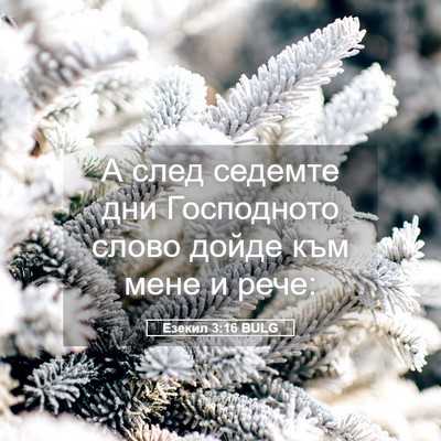 Picture 05 - Езекил 3:16 BULG - А след седемте дни - Bible Verse Picture