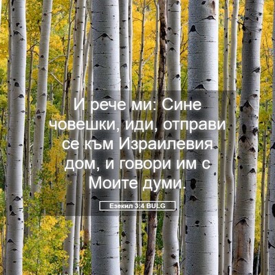 Picture 05 - Езекил 3:4 BULG - И рече ми: Сине човешки, - Bible Verse Picture
