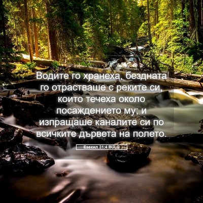 Picture 05 - Езекил 31:4 BULG - Водите го хранеха, - Bible Verse Picture