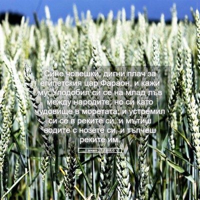 Picture 05 - Езекил 32:2 BULG - Сине човешки, дигни плач за - Bible Verse Picture