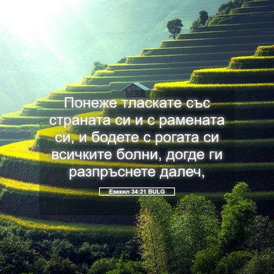 Picture 05 - Езекил 34:21 BULG - Понеже тласкате със - Bible Verse Picture