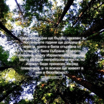 Picture 05 - Езекил 38:8 BULG - След много дни ще бъдеш - Bible Verse Picture
