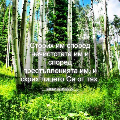 Picture 05 - Езекил 39:24 BULG - Сторих им според - Bible Verse Picture