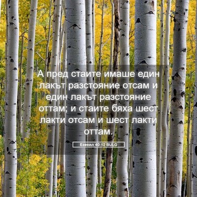 Picture 05 - Езекил 40:12 BULG - А пред стаите имаше един - Bible Verse Picture