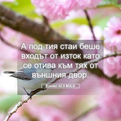 Picture 05 - Езекил 42:9 BULG - А под тия стаи беше входът - Bible Verse Picture