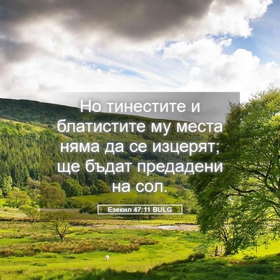 Picture 05 - Езекил 47:11 BULG - Но тинестите и блатистите - Bible Verse Picture