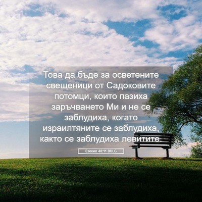 Picture 05 - Езекил 48:11 BULG - Това да бъде за осветените - Bible Verse Picture