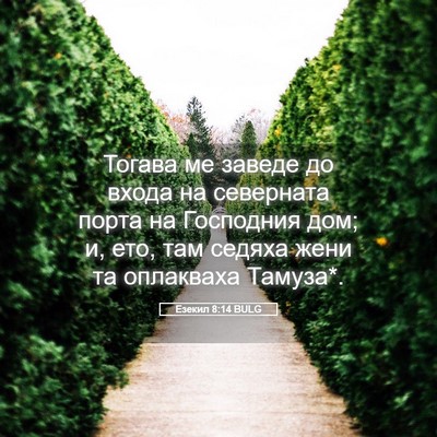 Picture 05 - Езекил 8:14 BULG - Тогава ме заведе до входа - Bible Verse Picture