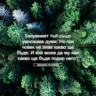 Picture 05 - Еклесиаст 10:14 BULG - Безумният тъй също - Bible Verse Picture