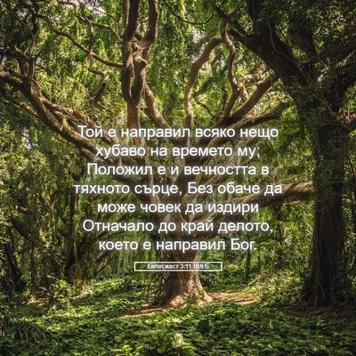 Picture 05 - Еклесиаст 3:11 BULG - Той е направил всяко нещо - Bible Verse Picture
