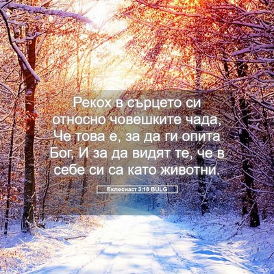 Picture 05 - Еклесиаст 3:18 BULG - Рекох в сърцето си относно - Bible Verse Picture