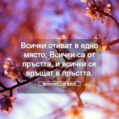 Picture 05 - Еклесиаст 3:20 BULG - Всички отиват в едно място; - Bible Verse Picture
