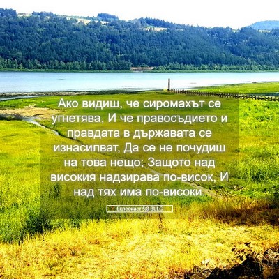 Picture 05 - Еклесиаст 5:8 BULG - Ако видиш, че сиромахът се - Bible Verse Picture